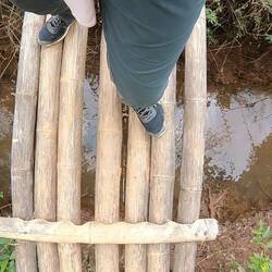 Jaja Bambus ist super stabil