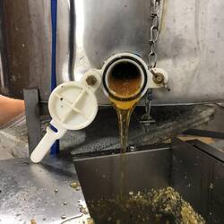 Flüssiges Gold läuft aus der 20-Waben-Schleuder