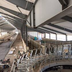 Die gigantische Melkscheune von Marios Bruder ist bald fertig