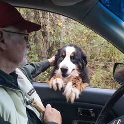 Nachbarshund Henrix kommt beim Anblick von Leonards Auto immer auf ein Leckerli vorbei 🥰