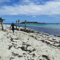 Hamelin Bay