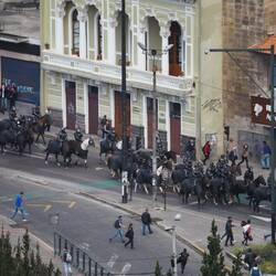 Pferdestaffeln zogen durch die Straßen
