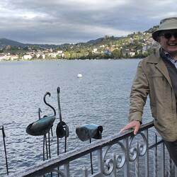 Flamingos and a Crane!