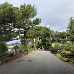 The beautiful tree-lined promenade in Montreux