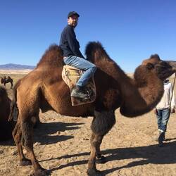 Kamelreiten 🐫