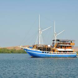 Auf geht's! Mantas, wir kommen!