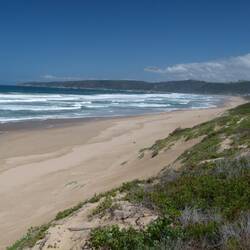 Strand von Wilderness