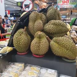 Durian, die "Stinkfrucht"