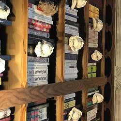 Exhibition on display on the bookshelves