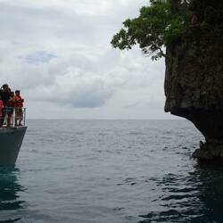 "Monkey and the tourists"