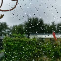 Regen kann auch hübsche Dinge zaubern. 😁