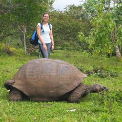 Das ist eindeutig eine Riesenschildkröte 🧐