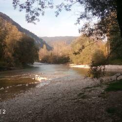 Save Ufer