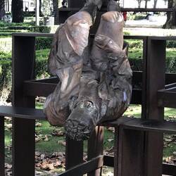 This guy is falling down laughing