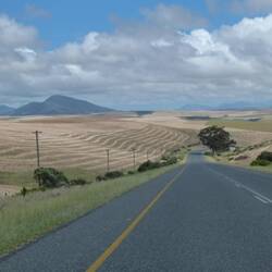 die Gegend um Bredasdorp, scheint die Kornkammer Süd Afrikas zu sein