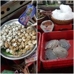 Schnecken ok...aber Schildkröten :(