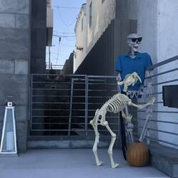 Loved the Halloween decorations on the Strand