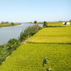 Encore des champs et canaux !