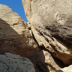 Im Genick der Schildkröte