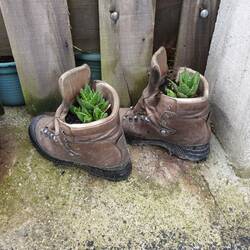 Novel use for an old pair of boots