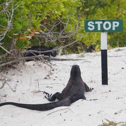 Na, ob er sich auch an die Regeln hält 🤔