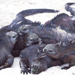 Gruppenkuscheln! Wer macht mit? 🤪