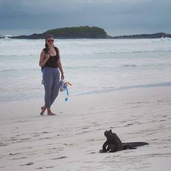 Spaziergang mit den Iguanas