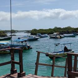 Plenty of water taxis around