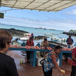 The local fish market