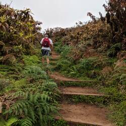 The trail to the crater lake