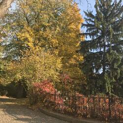 Kurz Beine vertreten in einem 106ha grossen Park