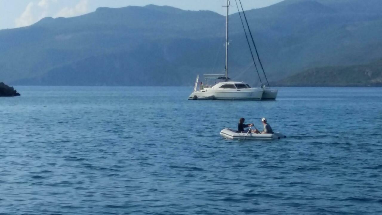 Skipper lässt sich paddeln