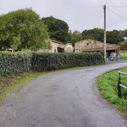 Plenty of bars between Sarria and Santiago