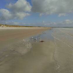Uretiti Beach