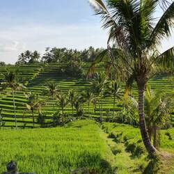 ..und noch eins..hätte noch ein Paar 🤣