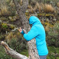 Laut der Indigenen soll der Baum bei einer Umarmung einem die negative Energie abnehmen. Natalie wagt den Vers