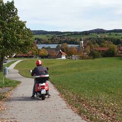 Am Froschsee