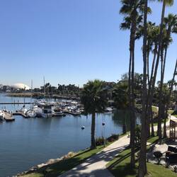 View from my room