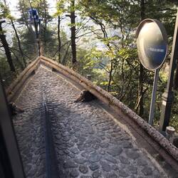 Ein Affe am Wegesrand 😉