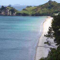 Hahei beach