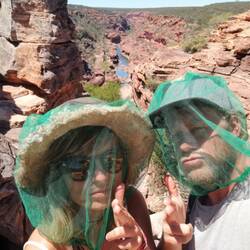 Keine Chance für Fliegen!