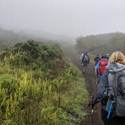 The trail to Sierra Negro started out in a misty cloud