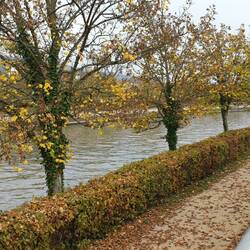 Donau-Promenade