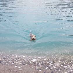Swimming in beautiful but ice cold Iskander Kul