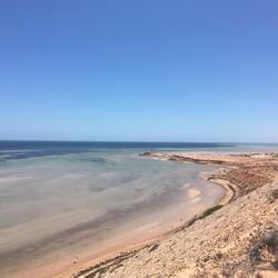 Shark Bay