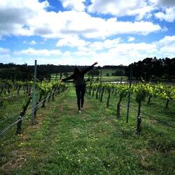 Birds in Hand Winery