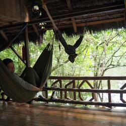 Siesta nach Amazonas Art