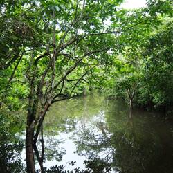 Blick von der Hängematte