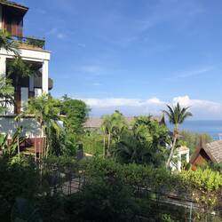 sunny Morning