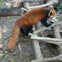 ... als Nahaufnahme 😉